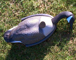 Goose Deterrents Dayton Ohio | Stalk & Awe Geese Management - deadgoose1